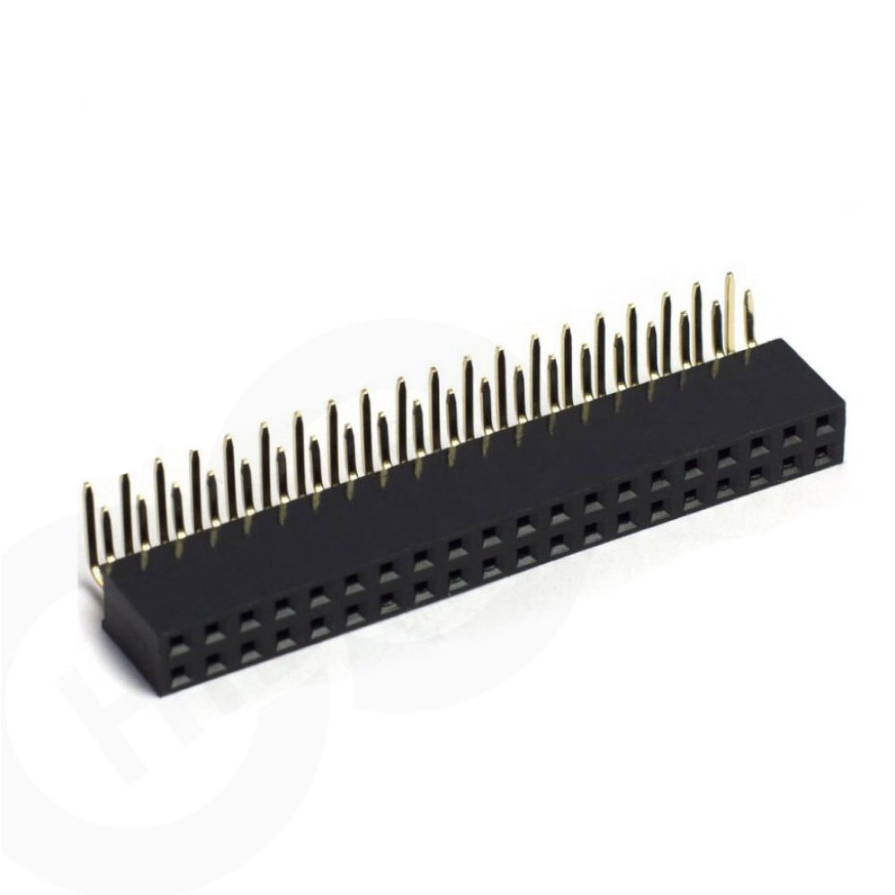 2x20 Pin Header Dişi 2.54mm 90 Derece