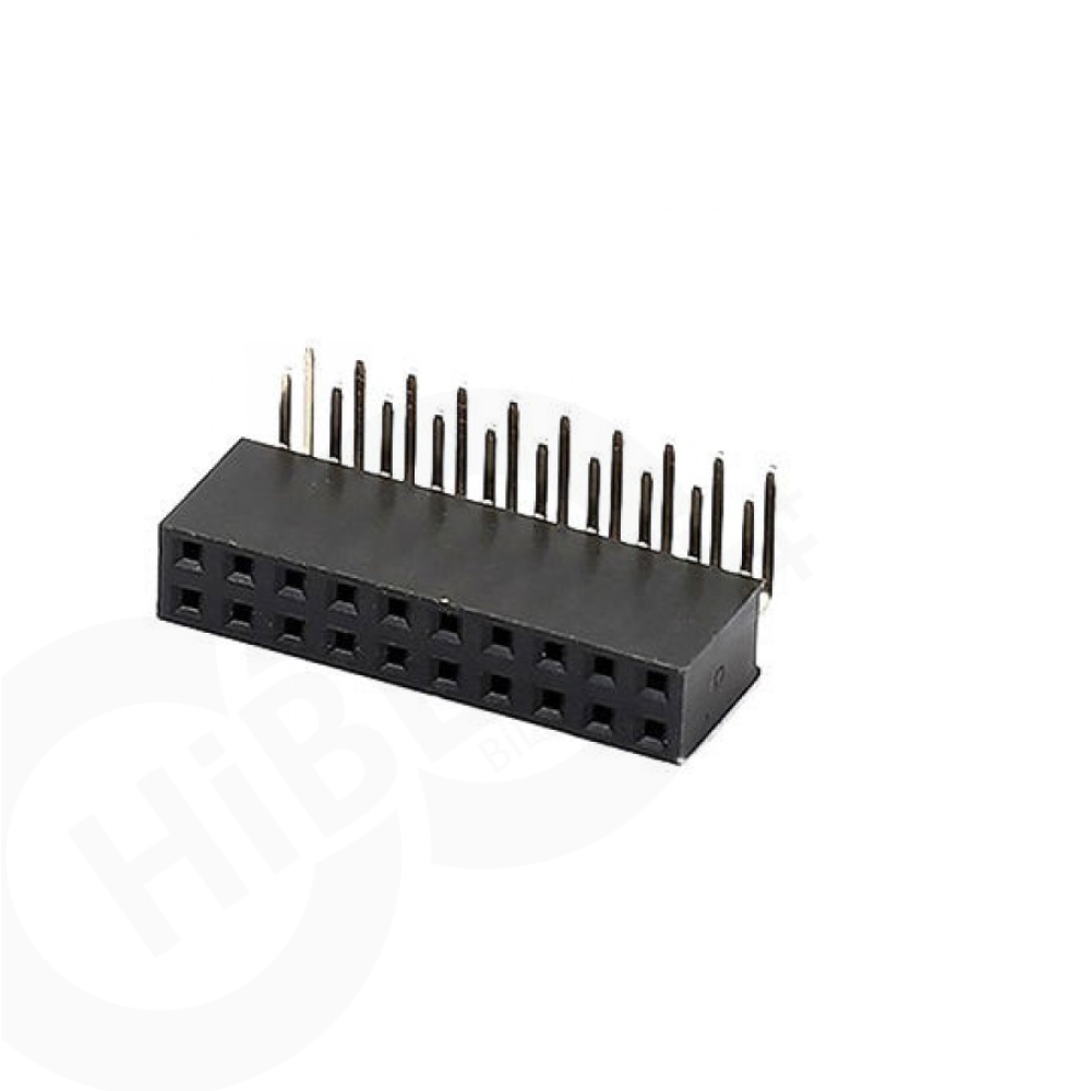 2x10 Pin Header Dişi 2.54mm 90 Derece