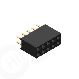 2x5 Pin Dişi Header 2.54mm 180 Derece