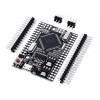 Arduino Mega2560 Pro mini