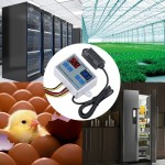 Kuluçka Termostat Sıcaklık / Nem Kontrol XK-W1099 12V