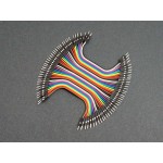 40 Pin M-M Jumper 10Cm