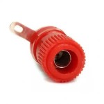 Born Klemens Küçük Boy Kırmızı