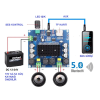 2 x 100W Bluetooth 5.0 Amfi Devresi TDA7498 TF Kart XH-A105